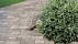 Тротуарная плитка Инсбрук Альпен, 40 мм, ColorMix Актау, гладкая